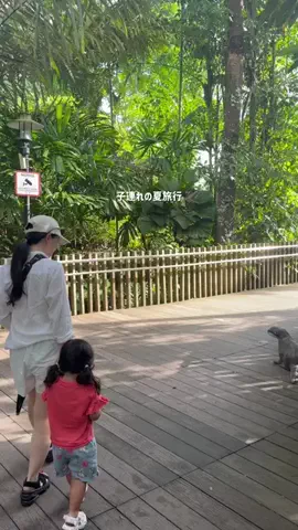 YOU旅行｜世界一周する家族✈️のTikTok投稿