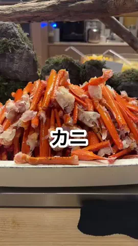 札幌住みK家のおでかけログのTikTok投稿