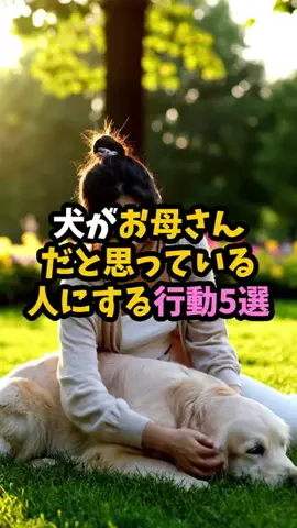わんこの豆知識のTikTok投稿