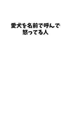 わんこの豆知識のTikTok投稿