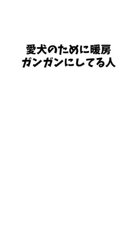 わんこの豆知識のTikTok投稿