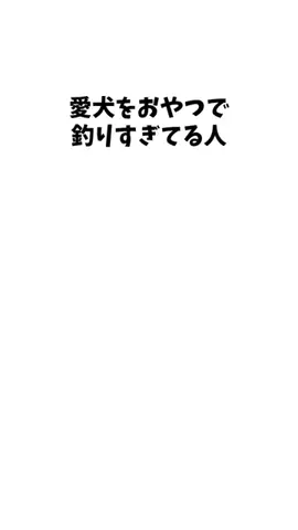 わんこの豆知識のTikTok投稿