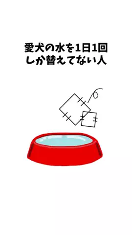 わんこの豆知識のTikTok投稿