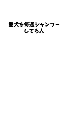 わんこの豆知識のTikTok投稿