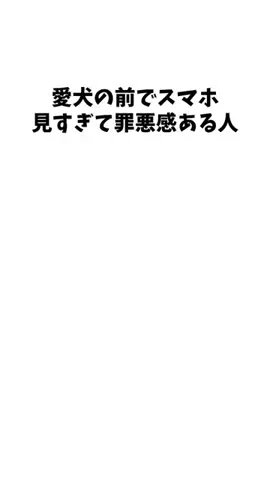 わんこの豆知識のTikTok投稿