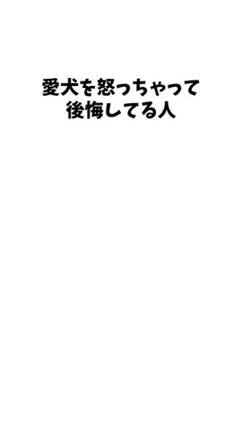 わんこの豆知識のTikTok投稿