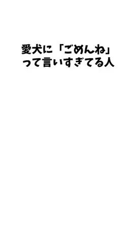 わんこの豆知識のTikTok投稿