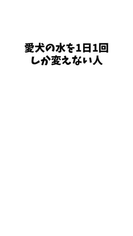 わんこの豆知識のTikTok投稿