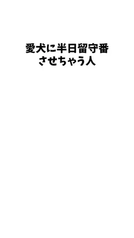 わんこの豆知識のTikTok投稿