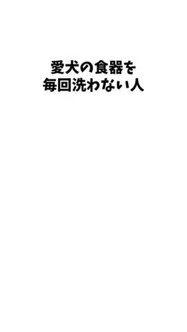 わんこの豆知識のTikTok投稿