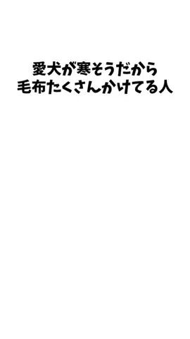 わんこの豆知識のTikTok投稿