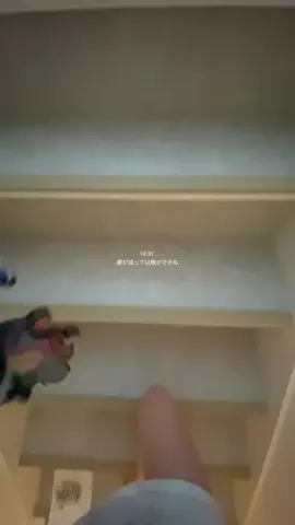 桑のTikTok投稿