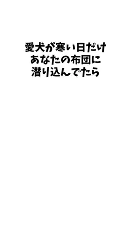 わんこの豆知識のTikTok投稿