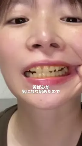 ビザちゃんのTikTok投稿