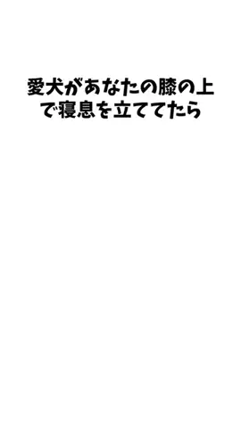 わんこの豆知識のTikTok投稿