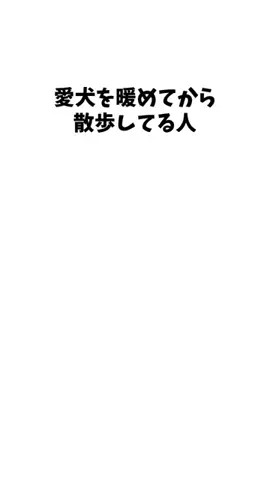 わんこの豆知識のTikTok投稿