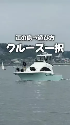 りょうまい｜おでかけ夫婦のTikTok投稿