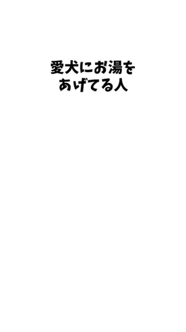 わんこの豆知識のTikTok投稿