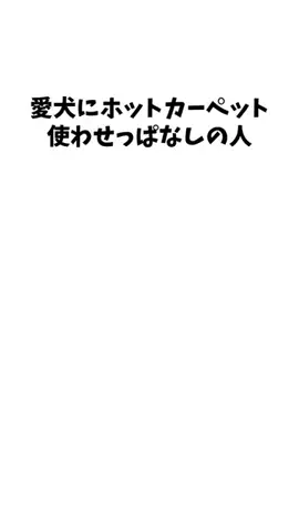 わんこの豆知識のTikTok投稿