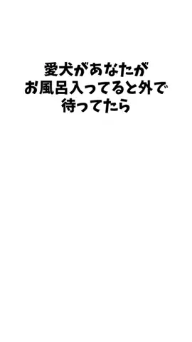 わんこの豆知識のTikTok投稿
