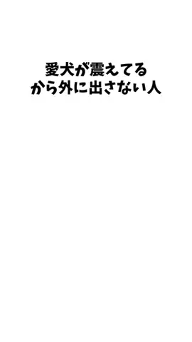 わんこの豆知識のTikTok投稿