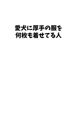 わんこの豆知識のTikTok投稿