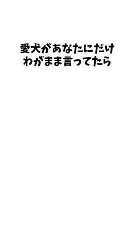 わんこの豆知識のTikTok投稿