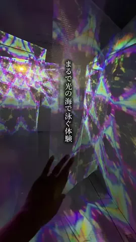 やどかりのTikTok投稿
