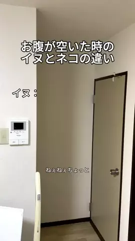 それから。のTikTok投稿