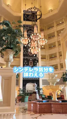 りな🐈🐾💕のTikTok投稿