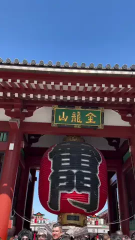 行ってみた｜ホテル紹介のTikTok投稿