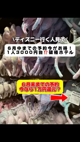 行ってみた｜ホテル紹介のTikTok投稿