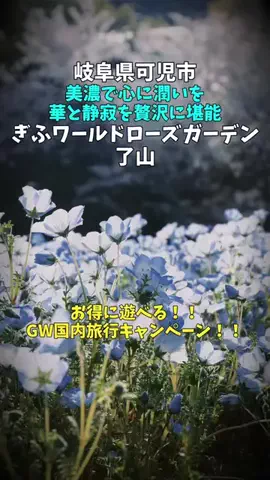 ポロ_身近なお出かけスポット紹介のTikTok投稿