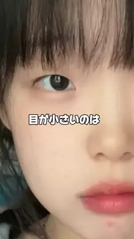 ちゅーるちゃんのTikTok投稿