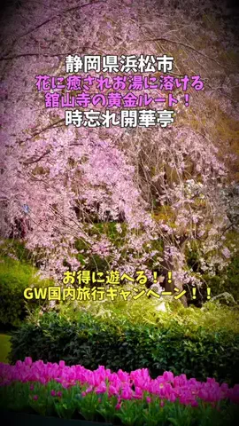 ポロ_身近なお出かけスポット紹介のTikTok投稿