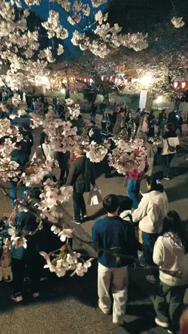 TOKYO JAPAN ViewのTikTok投稿