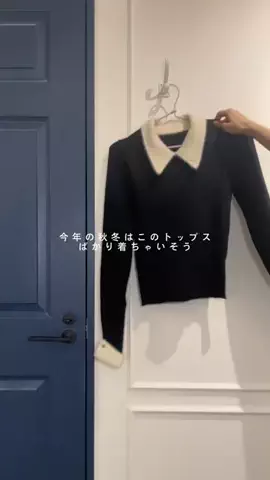 みーずんのTikTok投稿