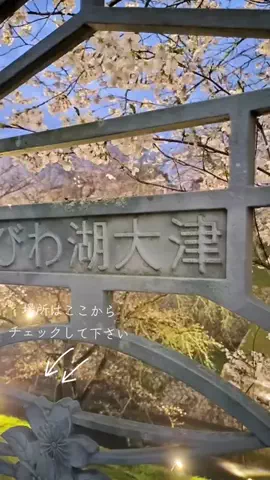 ＨＩＲＯのTikTok投稿