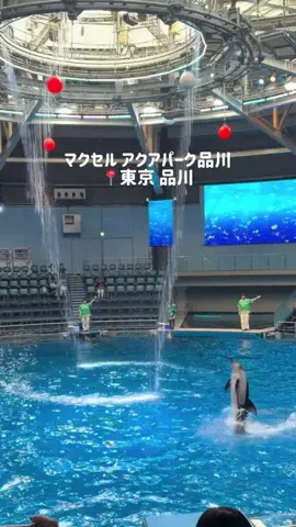 mi | 旅ログのTikTok投稿