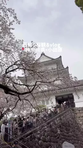 mi | 旅ログのTikTok投稿