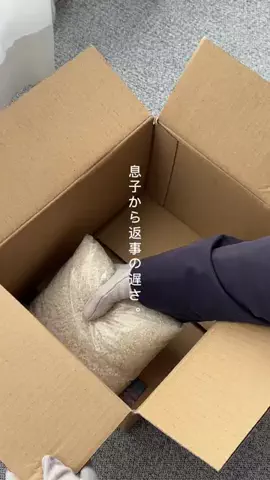 inaka_hahaのTikTok投稿