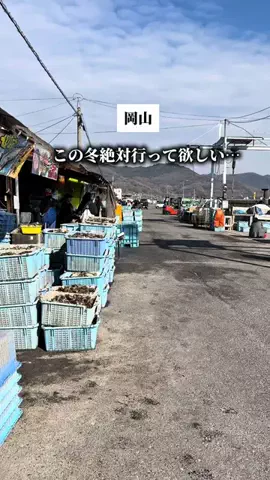 まるごと岡山のTikTok投稿