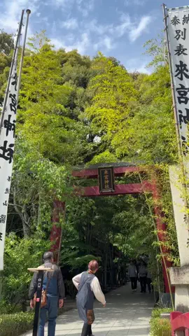 こんにゃくちゃん/週末トラベラー✈️のTikTok投稿