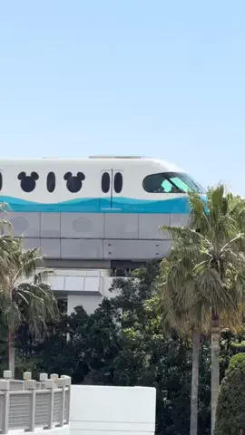 こんにゃくちゃん/週末トラベラー✈️のTikTok投稿