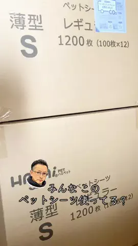 あんころ🐾うぶのTikTok投稿