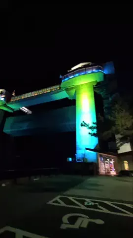 msmのTikTok投稿