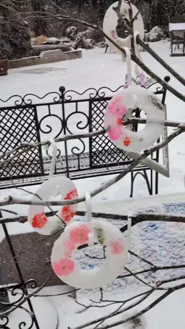 msmのTikTok投稿