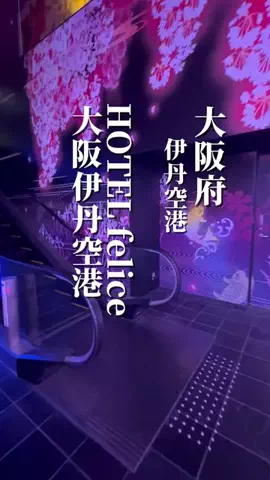 ゆり婆ちゃんの旅日記のTikTok投稿