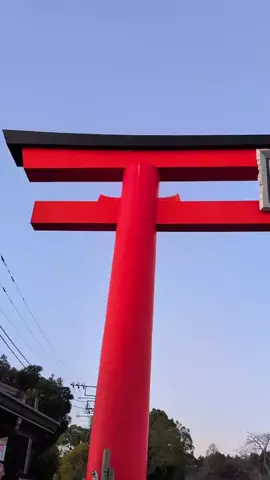 msmのTikTok投稿
