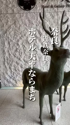 ゆり婆ちゃんの旅日記のTikTok投稿